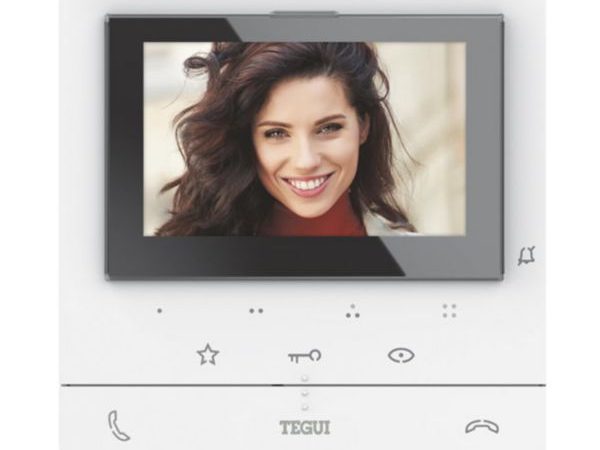 TG-374521-WEB-F Monitor manos libres CASSE 100 Avanzado 2 Hilos TEGUI 374521